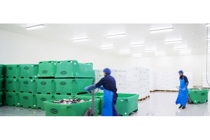 Голландская Geerlofs построит в Ферганской области три холодильных хранилища