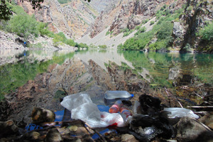 С 2026 года предлагается запретить использование одноразовых пластиковых изделий