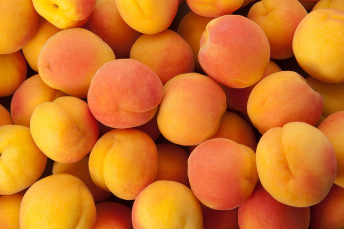 Предлагается запретить ограничения на перевозки товаров по Узбекистану