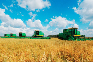 Импорт продовольствия вырос почти на 40%