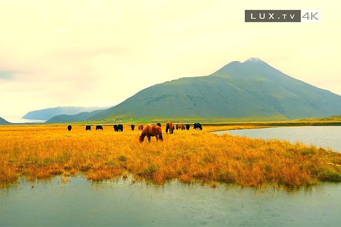 Видео: 1 сентября в Узбекистане запускается первый в СНГ телеканал в формате 4K