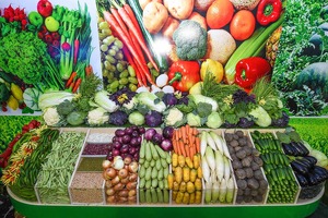 Президент приказал ограничить рост цен на продукты на уровне 10%