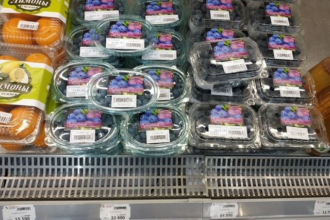 Выращивание голубики в Узбекистане может стать привлекательным и прибыльным бизнесом &mdash; аналитики