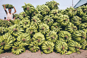 «Смелый шаг» — Зафар Хашимов об отмене пошлин на бананы и другие продукты