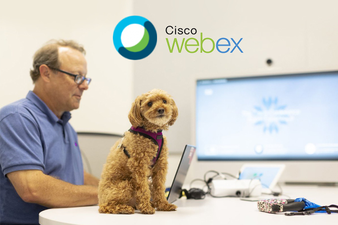Как эффективно организовать дистанционную работу — Cisco WebEx