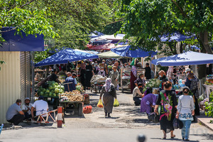 Чего добились помощники хокимов за первые три месяца работы