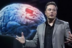 Стартап Илона Маска Neuralink протестирует чипы на людях уже в этом году