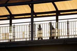 За три месяца через 1hls выплатили почти 10 млрд сумов