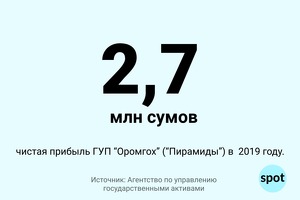Цифра: сколько прибыли принесли «Пирамиды» в 2019 году