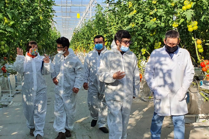 Международные стандарты и сертификация сельского хозяйства — зачем нужны и кто проводит аудит