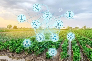 O’zbekistonda mahalliy agrometeorologiya stansiyalari ishga tushirildi