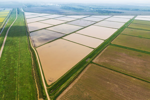 Шавкат Мирзиёев подписал постановление о развитии выращивания риса-сырца. Главное