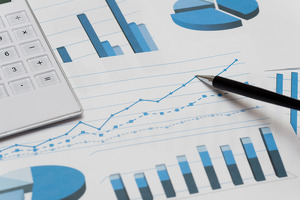 За три месяца после отмены лицензий открылось 8 аудиторских фирм