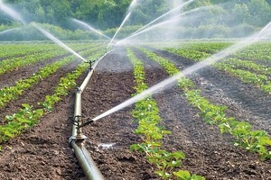 Suvni tejaydigan sug‘orish texnologiyasini joriy etish uchun subsidiyalar ajratiladi