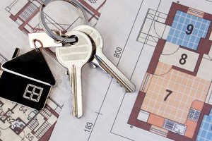 Endi kadastr organlariga taalluqli ma’muriy huquqbuzarliklar elektron ko‘rib chiqiladi