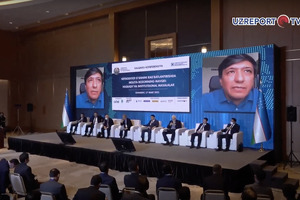 «Пришлось создавать компанию в Сингапуре» — Зафар Хашимов о том, как korzinka.uz привлекала $40 млн