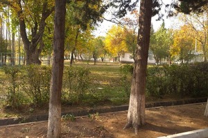 “Soyliq” oromgohi 14,5 mlrd so’mga sotildi