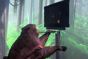 Стартап Илона Маска показал обезьяну, играющую в видеоигру «силой мысли»
