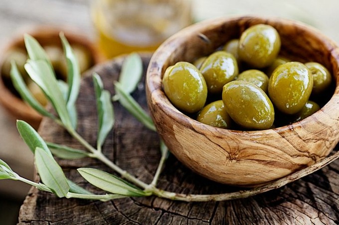 O&rsquo;zbekistonda zaytun yetishtirishning ilmiy asoslari ko&rsquo;rib chiqilmoqda