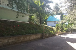 Бывшую зону отдыха Медакадемии вновь выставили на аукцион