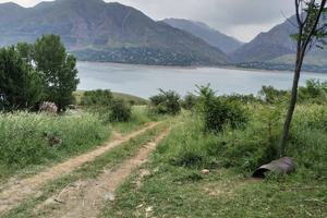 Chorvoqda xususiylashtirish. Qanday uchastkalar sotuvga qoʻyilgan va ularning narxi qancha