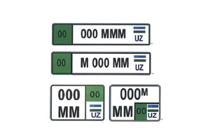 С 1 октября электромобили получат специальные номера