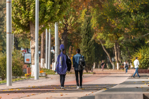 Уровень безработицы в Узбекистане снизился до минимума с 2018 года