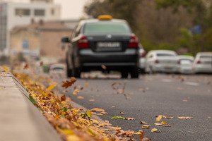 С 1 сентября самозанятым разрешат оказывать услуги такси