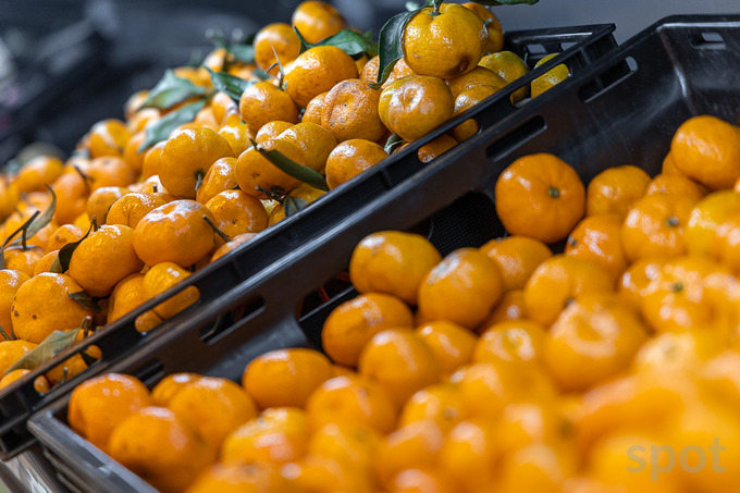 Анализом реформ в сельском хозяйстве займется проектный офис