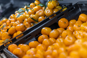 Анализом реформ в сельском хозяйстве займется проектный офис