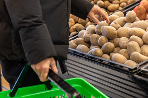 O‘zbekiston ikki yildan keyin kartoshkaga ehtiyojni to‘liq ichki hisobdan qoplashga o‘tadi