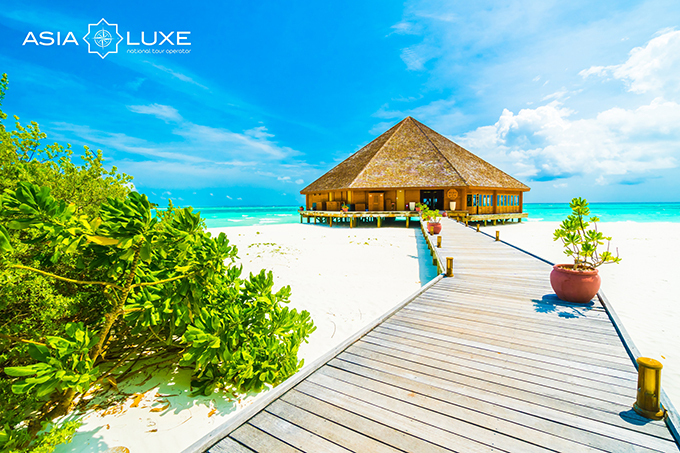 Без визы и никаких ограничений: Asialuxe Travel предлагает выгодные турпакеты на Мальдивы