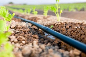 Водосбережение в сельском хозяйстве простимулируют льготными займами