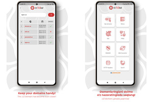 Uzinfocom разработал приложение ccTLD.uz. Что оно может