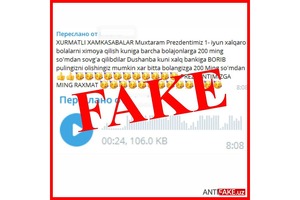 Глава Пенсионного фонда прокомментировал слухи о выдаче денег ко Дню защиты детей