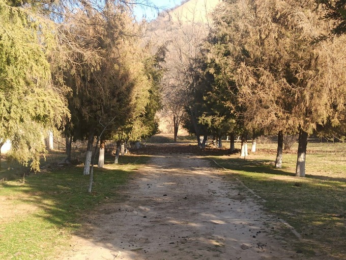 аукцион, приватизация, чарвак