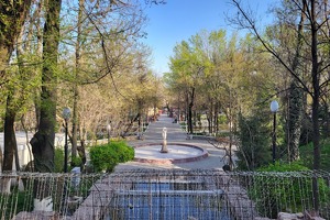 Под Ташкентом появится питомник за $10 млн для разведения деревьев и кустарников