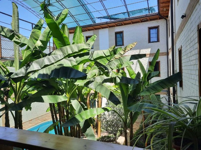 аукцион, ташкент