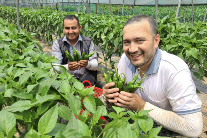 Канада может привлечь сезонных работников из Узбекистана