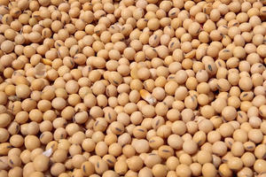 Узбекистан впервые в истории импортировал американскую сою