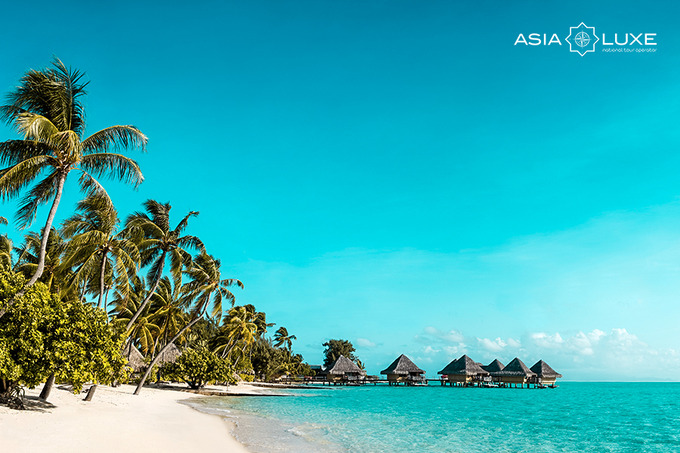 Asialuxe Travel запускает чартерные рейсы на Мальдивы