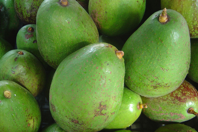 Импорт авокадо за десять месяцев с начала года удвоился &mdash; Госкомстат