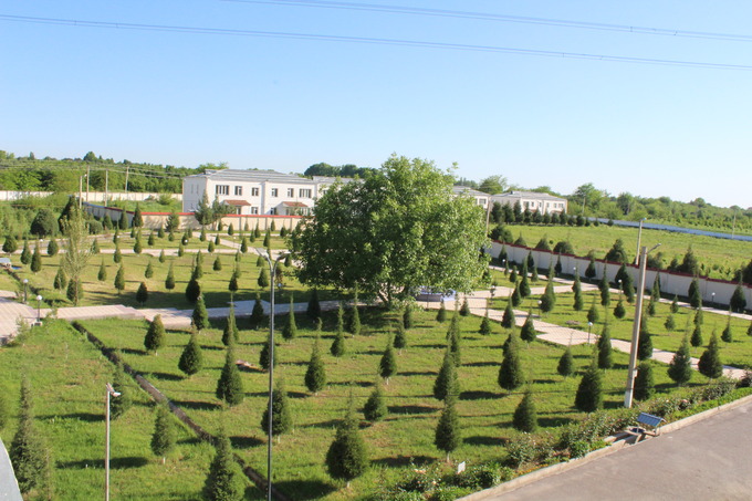 auksion, o‘zbekgeofizika