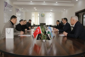 Cengiz Enerji планирует построить ещё одну ТЭС в Сырдарьинской области