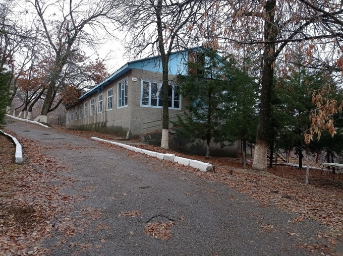 ауга, аукцион, зона отдыха, чарвак