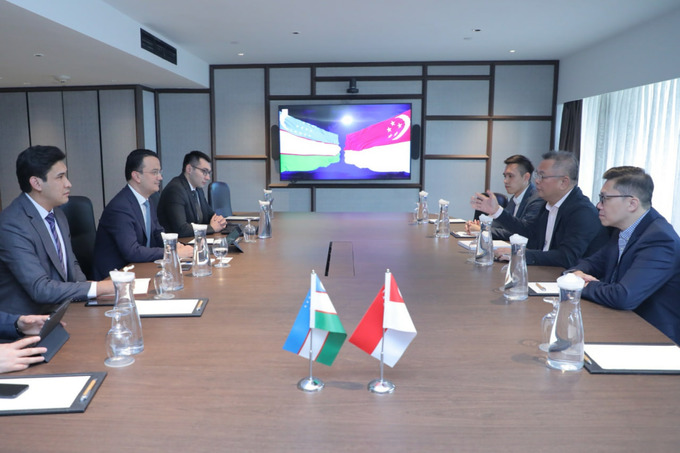 investitsiya, singapur