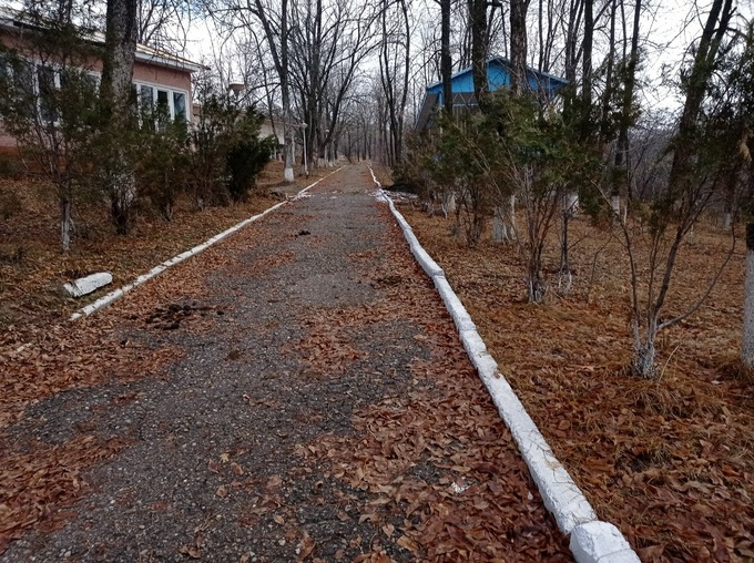 ауга, аукцион, зона отдыха, чарвак