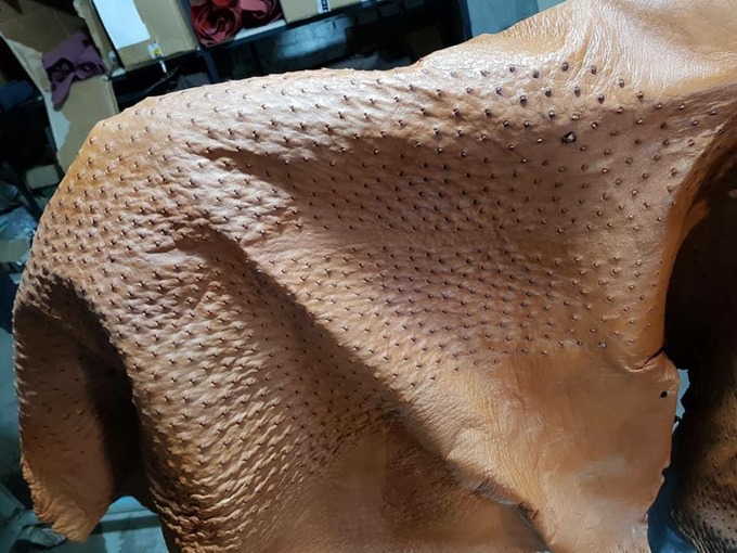 black quail, ikkichi, пахлавон турдиев