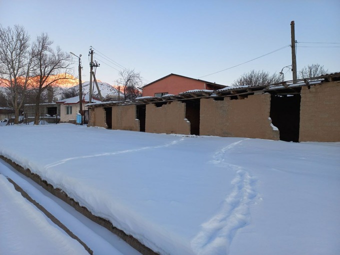 аукцион, зона отдыха, нбу, чарвак