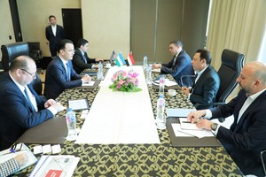 Какими проектами египетские компании планируют заняться в Узбекистане